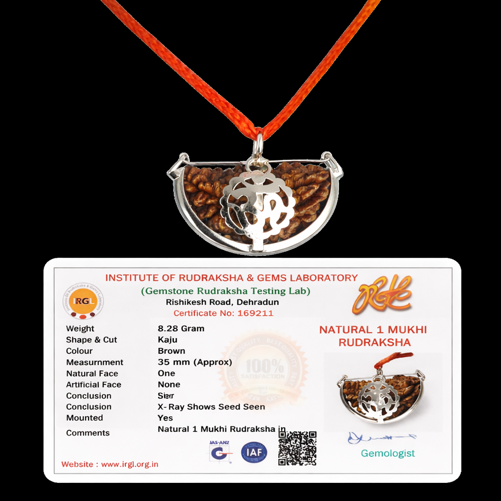 1 Mukhi Rudraksha - Lord Shiva product image