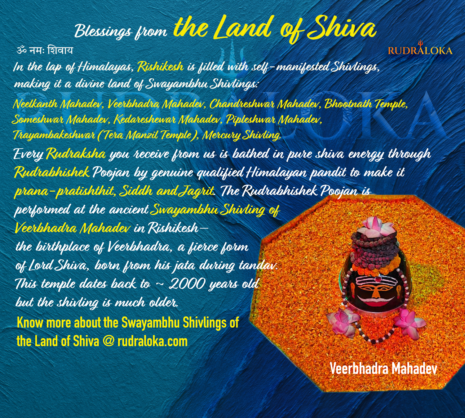 1 Mukhi Rudraksha - Lord Shiva product image
