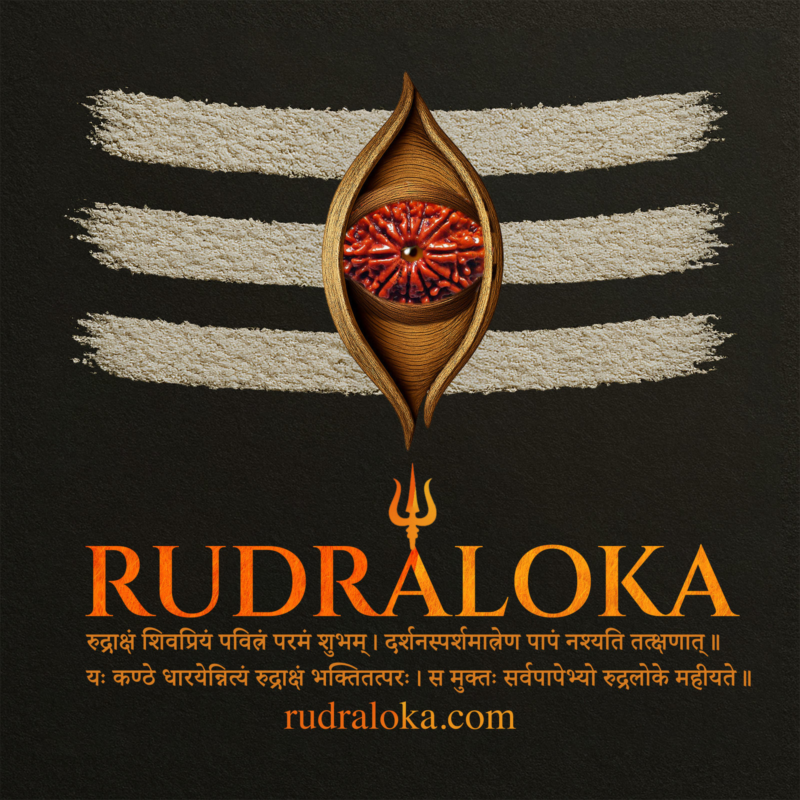 8 Mukhi Rudraksha - Lord Ganesha product image