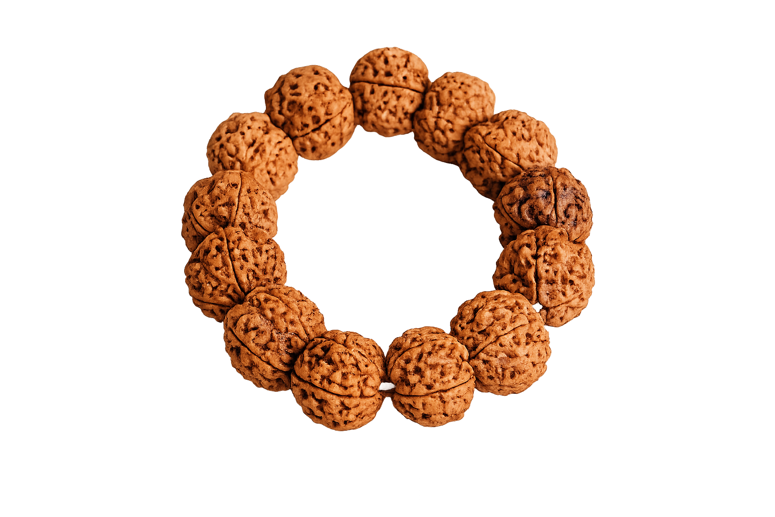 5 Mukhi Swasthya Suraksha Bracelet - Kalagni Rudra primary product image