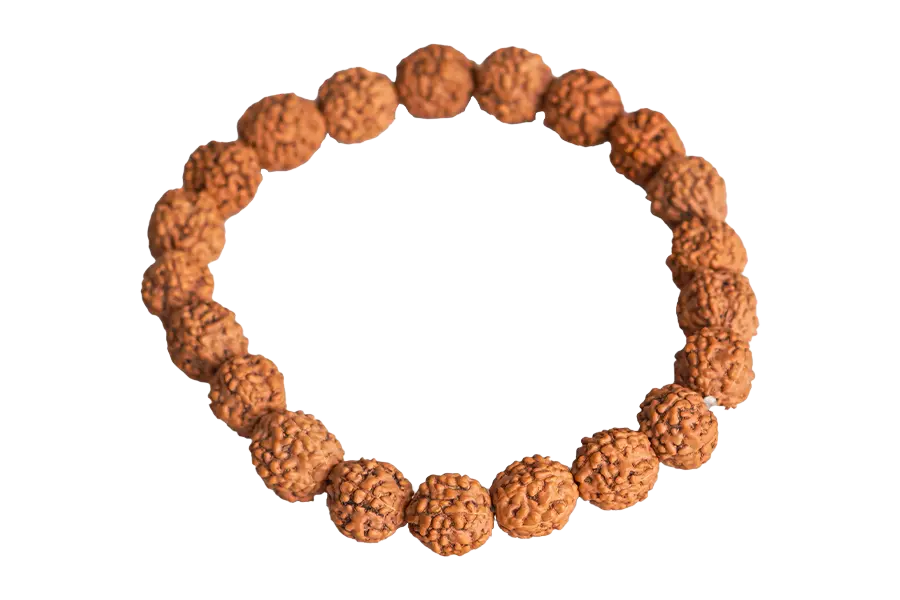 5 Mukhi Indonesian Bracelet - Kalagni Rudra primary product image