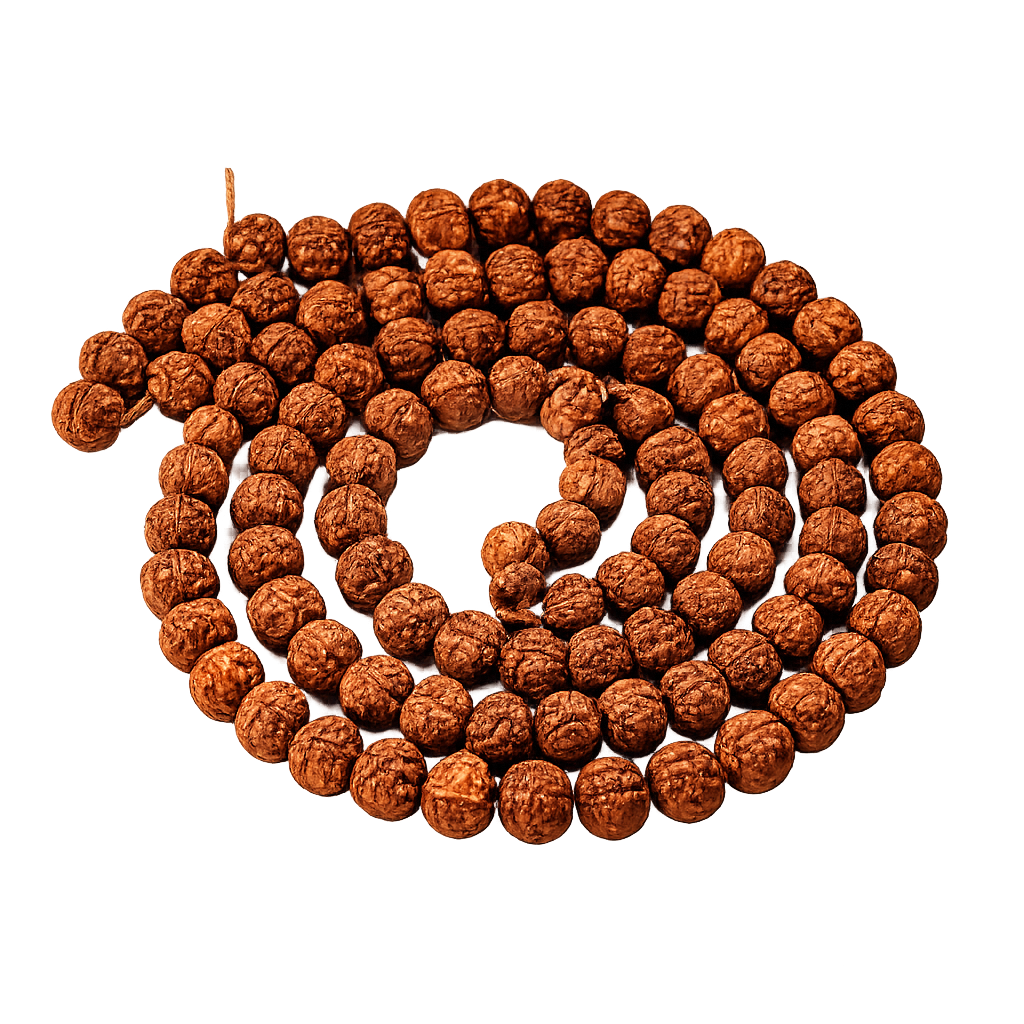 5 Mukhi Rudraksha Katha Mala 108 + 1 primary product image