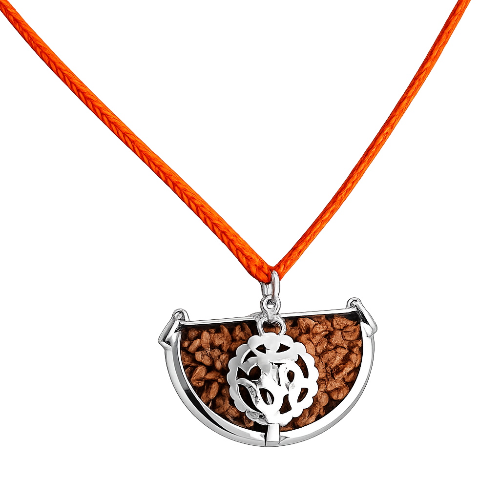 Mahashivratri 1 Mukhi Rudraksha combo product image