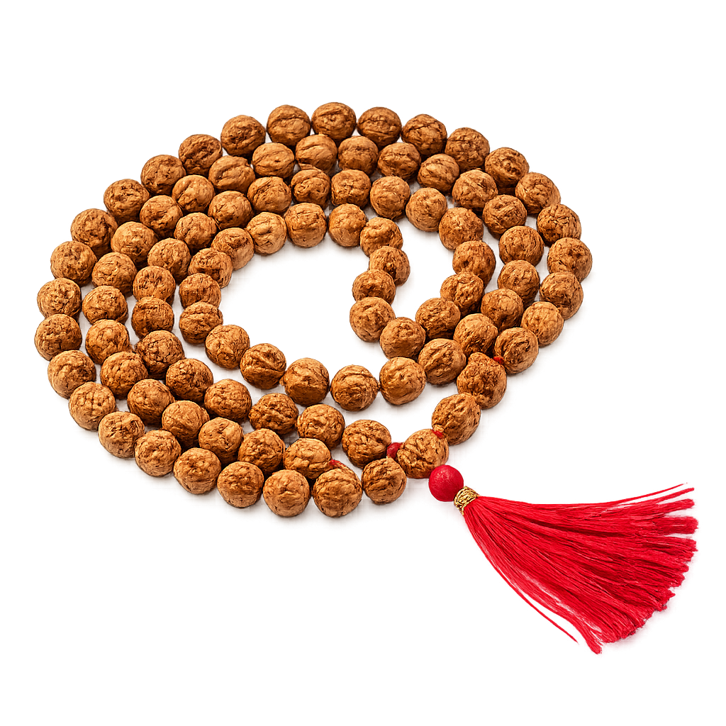 Mahashivratri 1 Mukhi Rudraksha combo product image