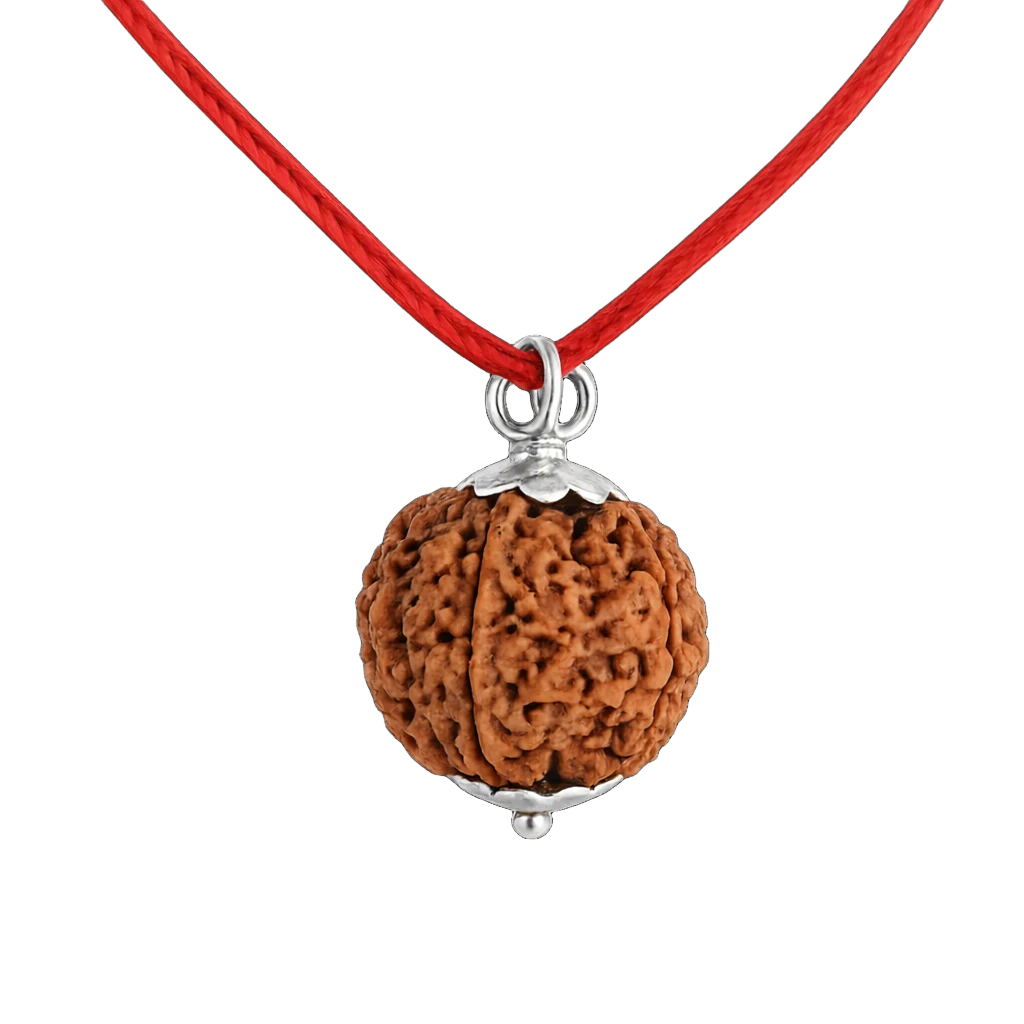 Mahashivratri 5 Mukhi Rudraksha combo product image